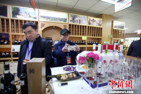 海外华文媒体代表参观摩尔多瓦国家馆。 王磊 摄 海外华文媒体代表参观摩尔多瓦国家馆。 王磊 摄