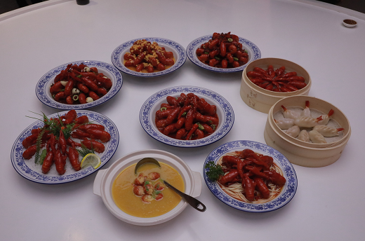 中央外宣媒体及海外华文寻智慧之源_儒文化之根济宁行