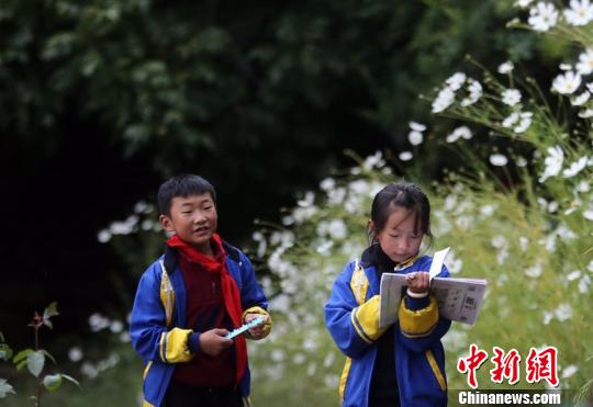 课间,学生们还在温习功课。 王磊 摄 课间,学生们还在温习功课。 王磊 摄