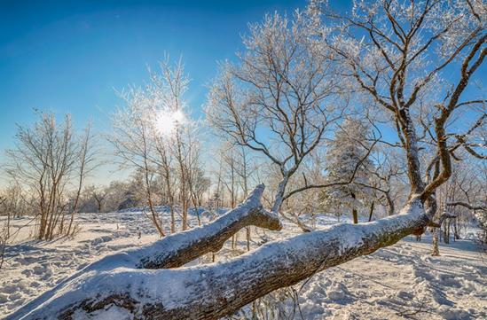 世界华人摄影师打卡北大湖_特色冰雪资源引全球关注 世界华人摄影师打卡北大湖_特色冰雪资源引全球关注