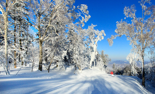 世界华人摄影师打卡北大湖_特色冰雪资源引全球关注 世界华人摄影师打卡北大湖_特色冰雪资源引全球关注